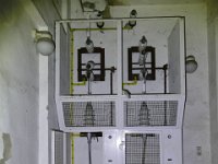 P1350689