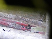 P1350713