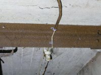 P1290110
