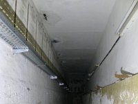 P1290158
