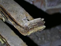 P1290226