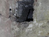 P1290234